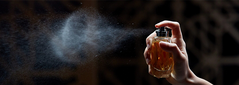 IELTS Reading banner
